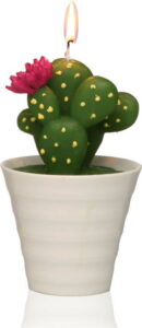 Dekorativní svíčka ve tvaru kaktusu Versa Cactus Paol VERSA
