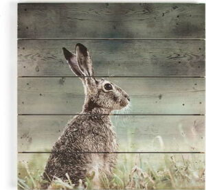 Dřevěný obraz Graham & Brown Hare