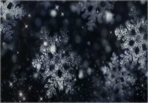 Koberec Vitaus Christmas Period BW Snowflake