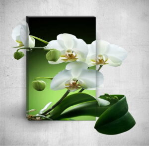 Nástěnný 3D obraz Mosticx Pure Elegant Flower