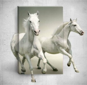 Nástěnný 3D obraz Mosticx White Horses
