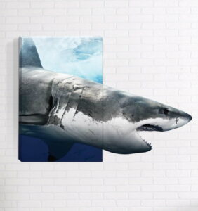 Nástěnný 3D obraz Mosticx Žralok