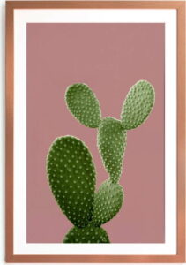 Nástěnný obraz ze sambového dřeva Surdic Pink Green Cactus