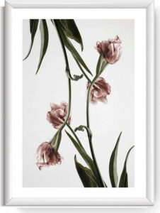 Obraz Piacenza Art Dendrobium