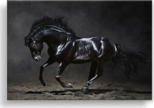 Obraz Styler Canvas Silver Uno Horse