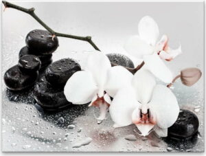 Obraz Styler Pastel Orchids
