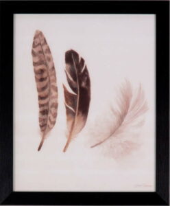 Obraz sømcasa Feathers