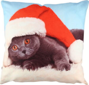Polštář Christmas Cat