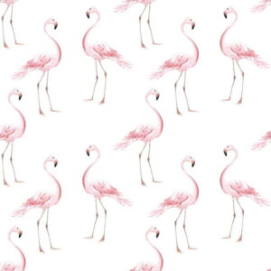 Tapeta na zeď Dekornik Flamingos