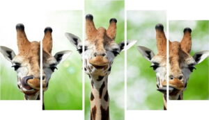 Vícedílný obraz na plátně Animal Giraffe Bonami