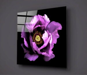 Černo-fialový skleněný obraz Insigne Calipsa Purple
