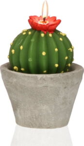 Dekorativní svíčka ve tvaru kaktusu Versa Cactus Emia VERSA