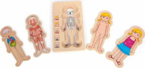 Dřevěná hračka Legler Anatomy Girl Legler