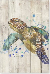 Dřevěná nástěnná dekorativní cedule Surdic Watercolor Turtle