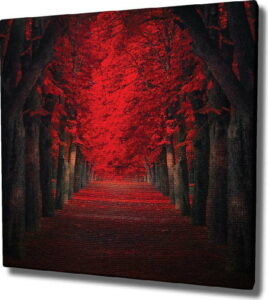 Nástěnný obraz na plátně Red Trees