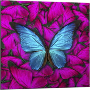 Obraz Styler Glasspik Red Butterfly