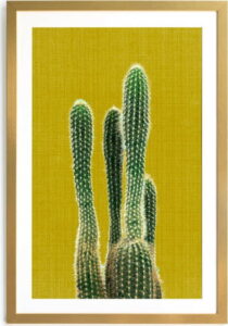 Obraz Surdic Mustard Background Cactus