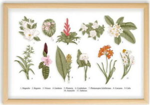 Obraz s rámem z borovicového dřeva Surdic Botanical Flowers