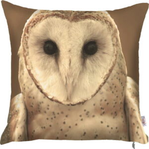 Povlak na polštář Apolena Owl
