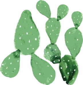 Sada 2 nástěnných samolepek Dekornik Green Cacti Dekornik
