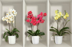Sada 3 3D samolepek na zeď Ambiance Orchids Ambiance