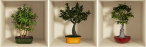 Sada 3 samolepek s 3D efektem Ambiance Bonsai Trees Ambiance