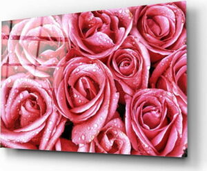 Skleněný obraz Insigne Pink Roses Insigne