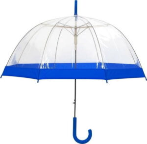 Transparentní holový deštník s modrými detaily Ambiance Birdcage Border
