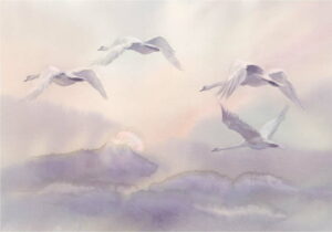 Velkoformátová tapeta Bimago Flying Swans
