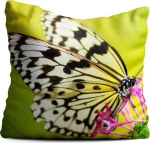 Zelený polštář Oyo home Butterfly