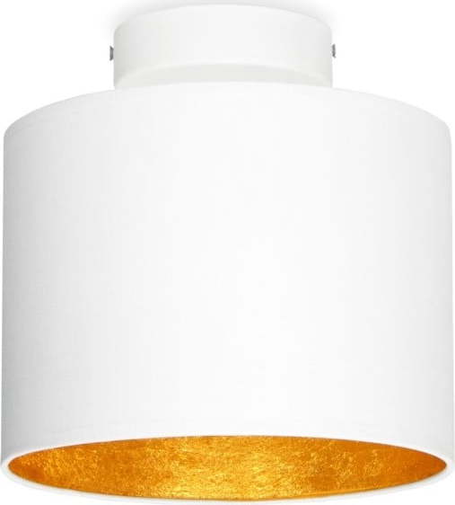 Bílé stropní svítidlo s detailem ve zlaté barvě Sotto Luce MIKA Elementary XS
