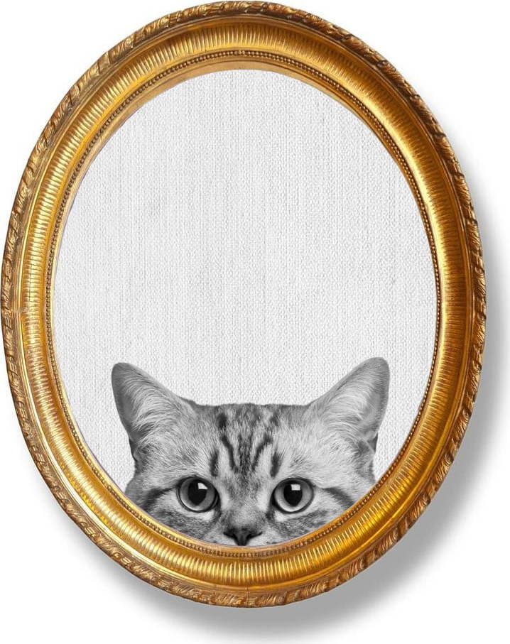 Oválný nástěnný obraz Really Nice Things Cat