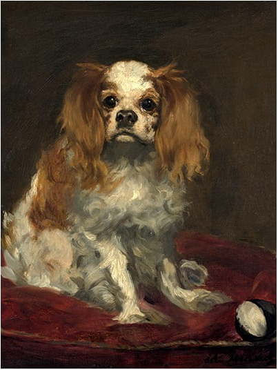 Reprodukce obrazu Édouard Manet - A King Charles Spaniel