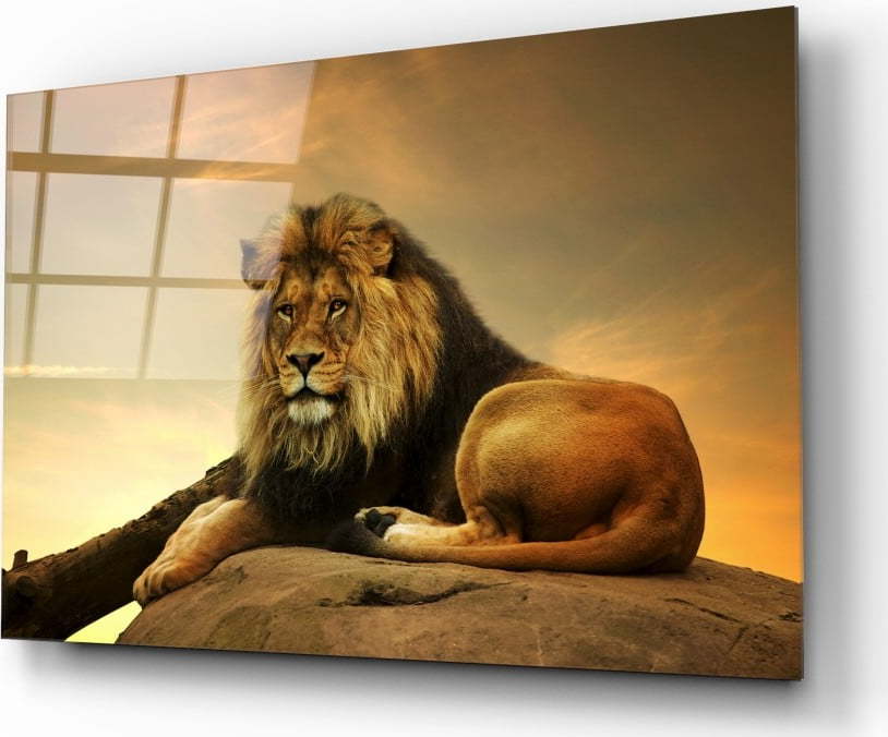 Skleněný obraz Insigne Lion
