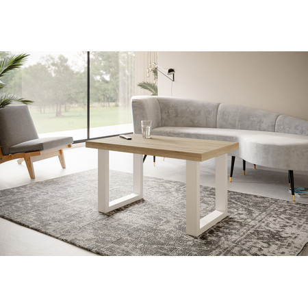Konferenční stolek LOFT PROSTA 100x60 cm Bílá Dub sonoma Alpimeble