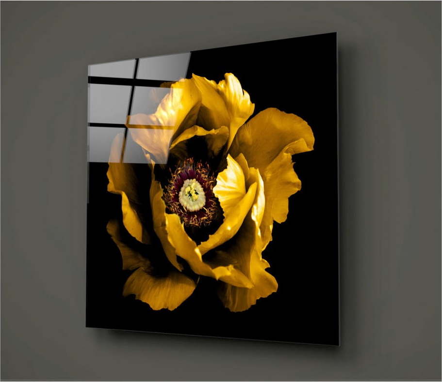 Černo-žlutý skleněný obraz Insigne Calipsa Amarillo