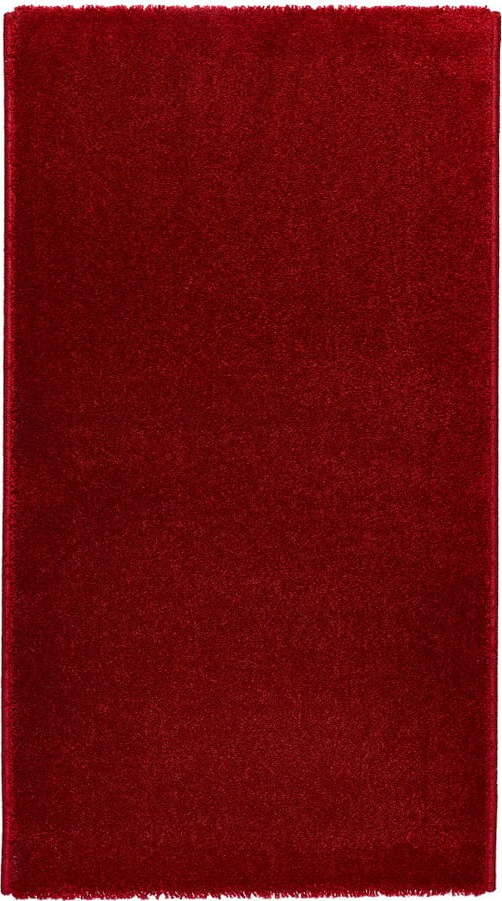 Červený koberec Universal Velur