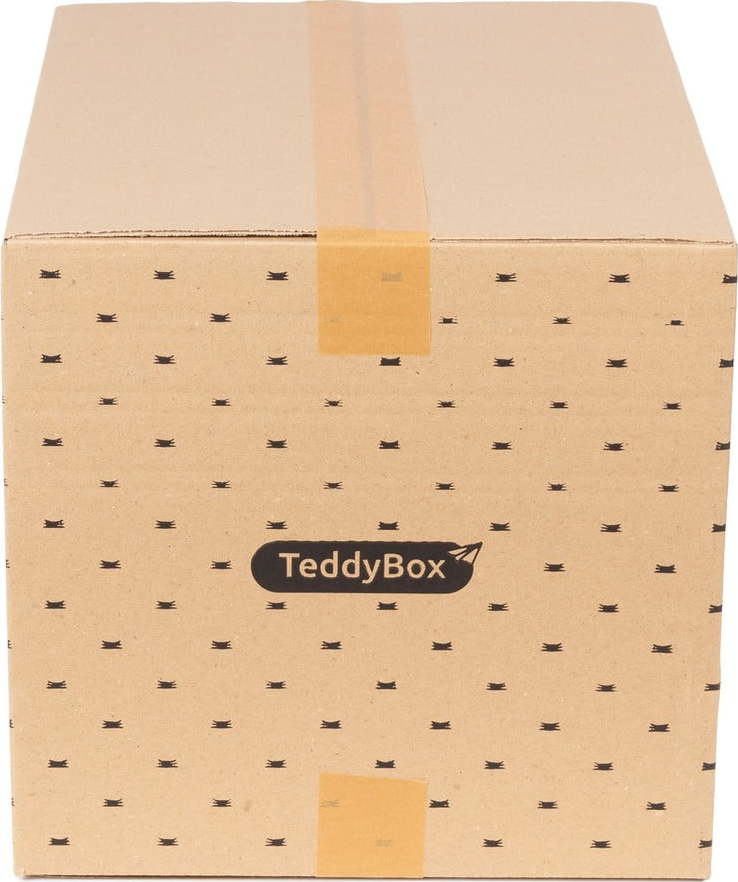 Sada 2 béžových úložných boxů Compactor Teddy