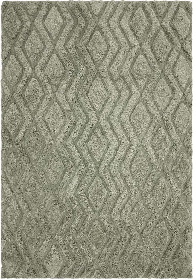 Zelený koberec 290x200 cm Harrison - Asiatic Carpets Asiatic Carpets