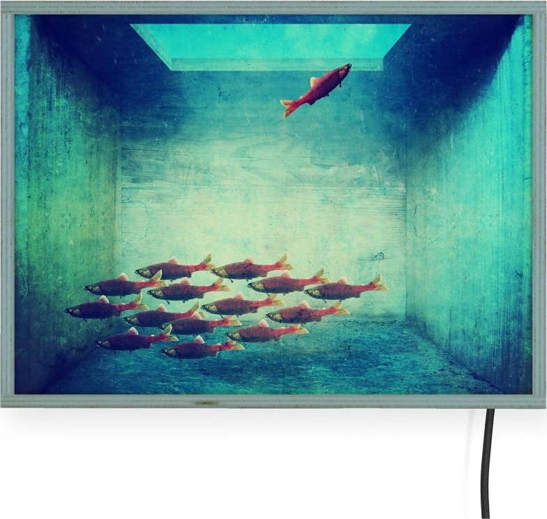 Světelná nástěnná dekorace Surdic Free Fish