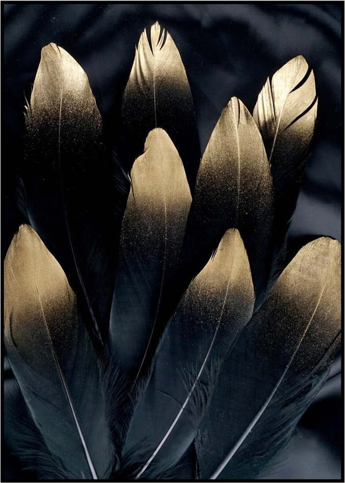 Obraz 30x40 cm Golden Feather – Malerifabrikken Malerifabrikken