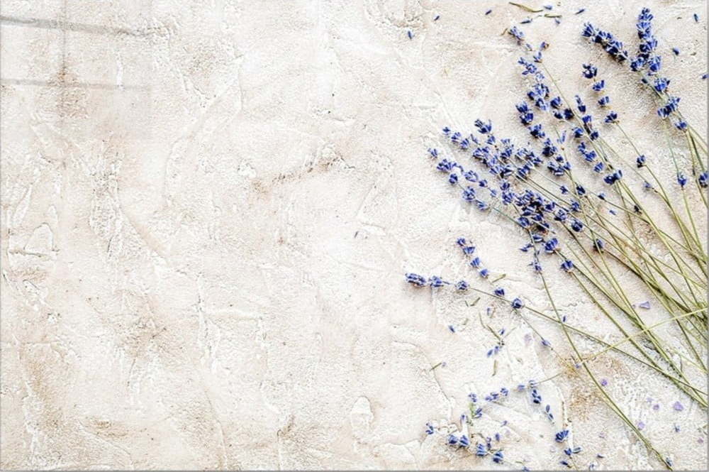 Skleněný obraz 100x70 cm Lavender – Wallity Wallity