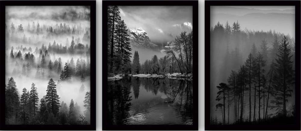 Obrazy v sadě 3 ks 35x45 cm Black & White – Wallity Wallity