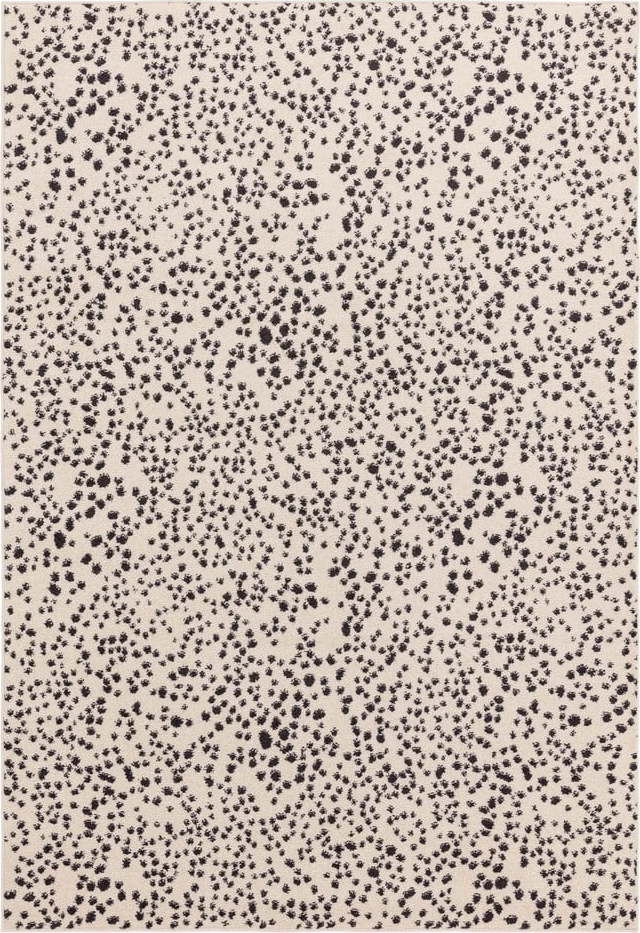 Černo-bílý koberec 200x290 cm Muse – Asiatic Carpets Asiatic Carpets