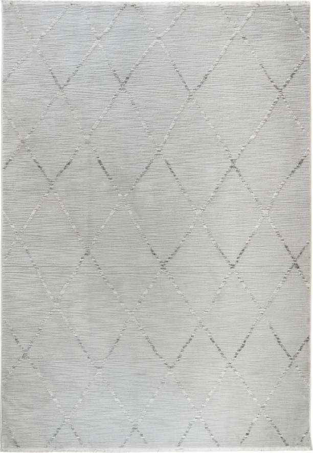 Šedý koberec 60x110 cm Jaipur – Webtappeti Webtappeti