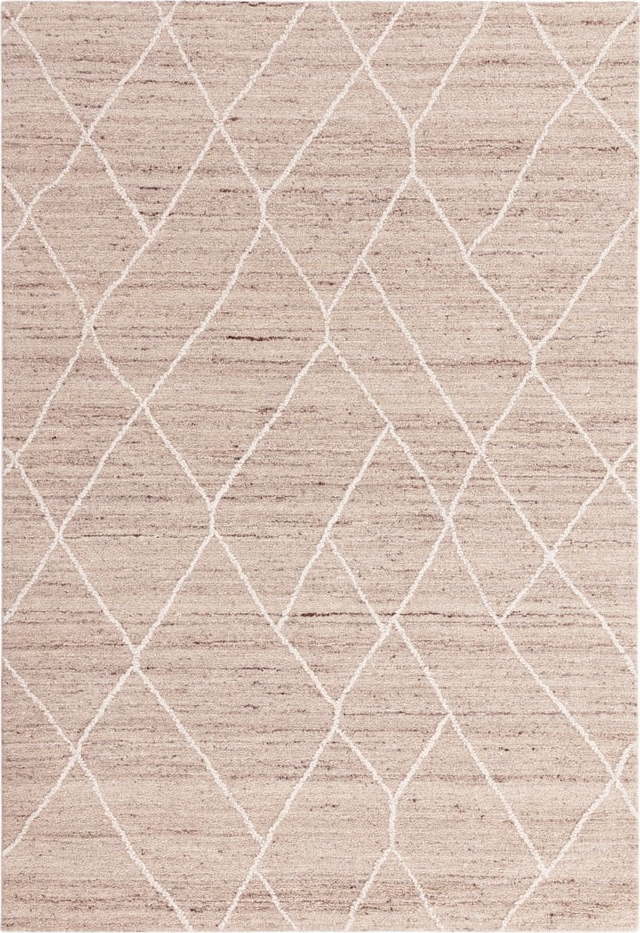 Béžový vlněný koberec 120x170 cm Noah – Asiatic Carpets Asiatic Carpets