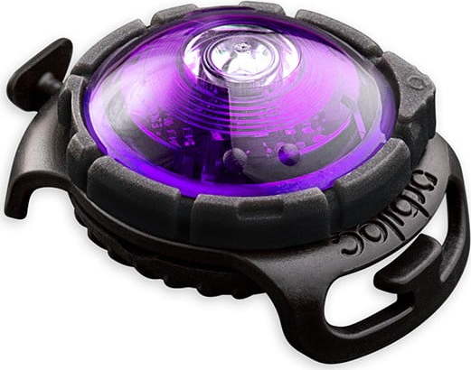 LED světlo na obojek Purple – Orbiloc Orbiloc