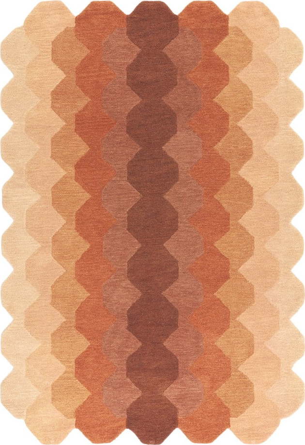 Vlněný koberec v cihlové barvě 120x170 cm Hive – Asiatic Carpets Asiatic Carpets