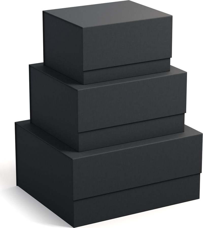 Kartonové úložné boxy s víkem v sadě 3 ks Ilse – Bigso Box of Sweden Bigso Box of Sweden