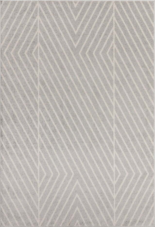 Světle šedý koberec 160x230 cm Muse – Asiatic Carpets Asiatic Carpets